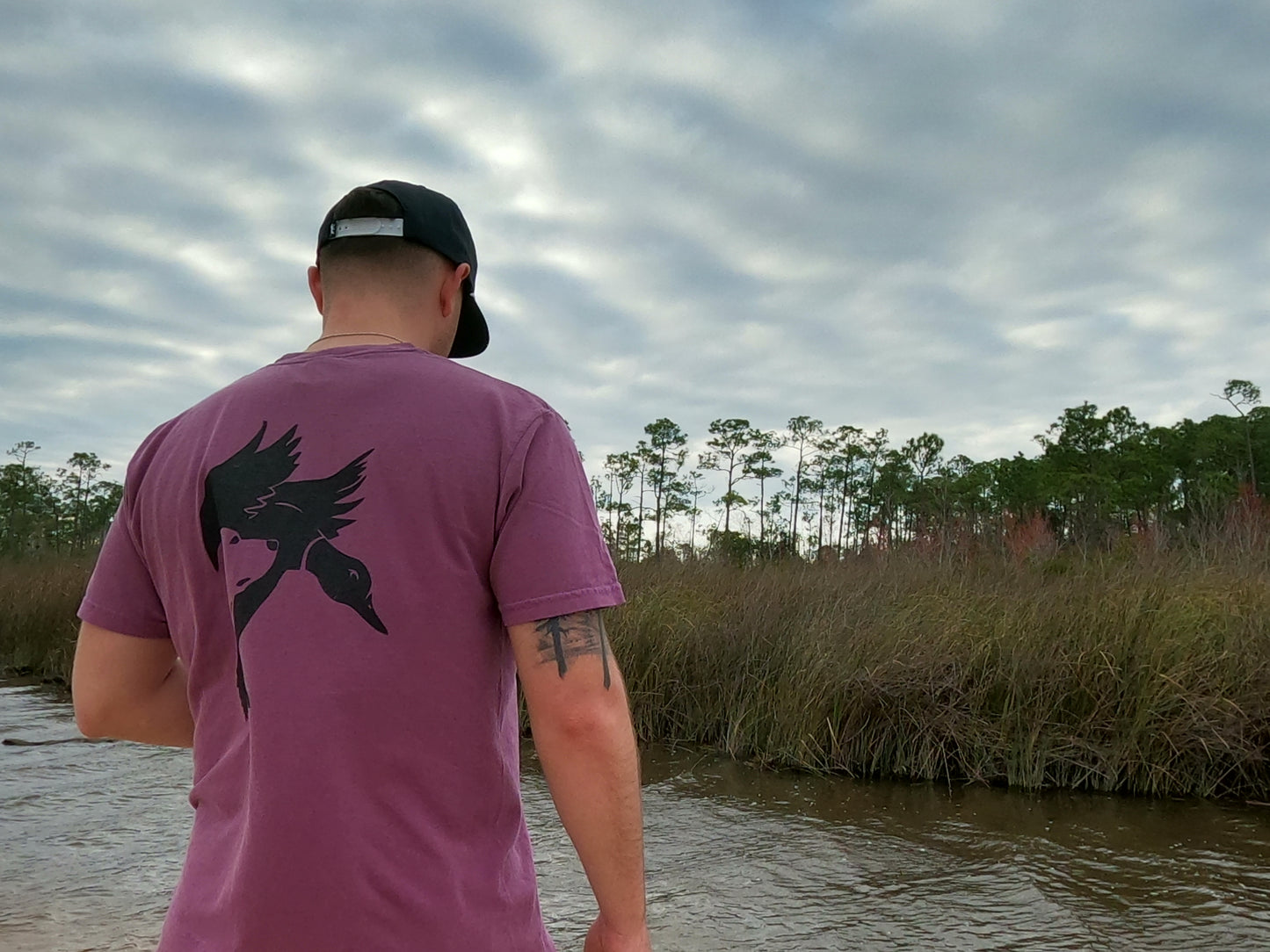 Eye to the sky - Berry