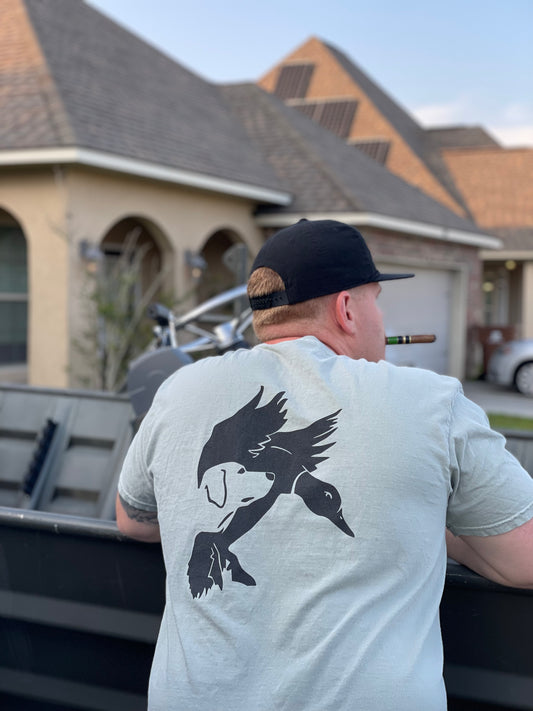 Eye to the sky - Bay