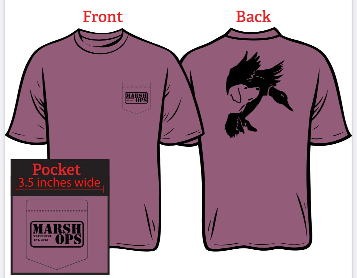 Eye to the sky - Berry